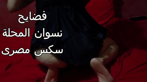 سكس عربي: شرموطة مصرية طيزها كبيرة عايزة تتناك