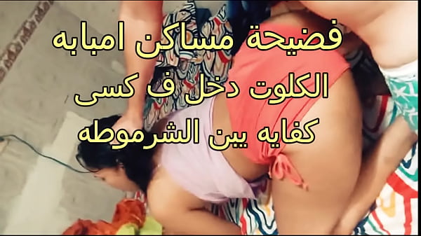 سكس عربي نار، فضيحة أمال الشرموطة في مساكن إمبابه، كلوتها دخل في كسي يا بن المتناكة