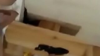 Gadis-gadis Nakal Saling Menjilat Di Depan Pacar Mereka, Bikin Makin Liar